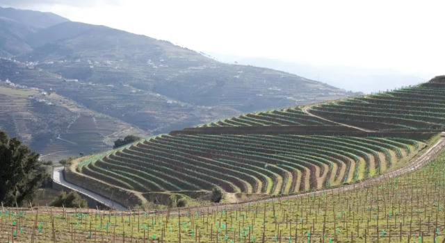 Двухместный номер Superior Douro Scala