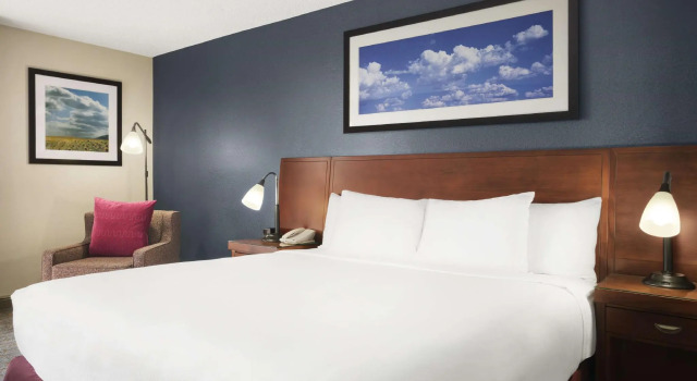 Двухместный номер Standard DoubleTree by Hilton DFW Airport North