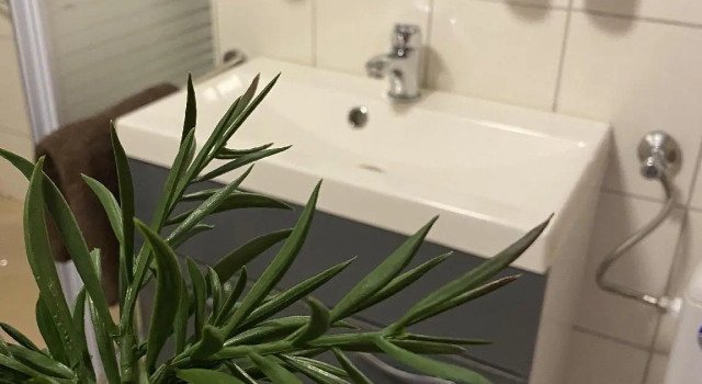 Двухместный номер Standard Hotel-Boxberg