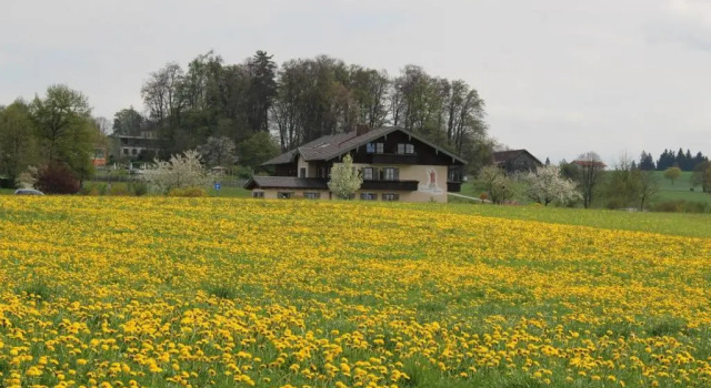 Номер Standard Kurparkpension Stephan