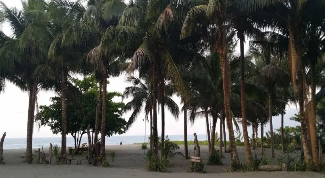 Pannzian Beach Resort, Book Resort Mayraira Point Philippines