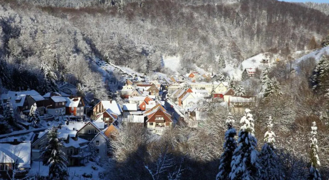 Апартаменты FeWo Lerbachtal