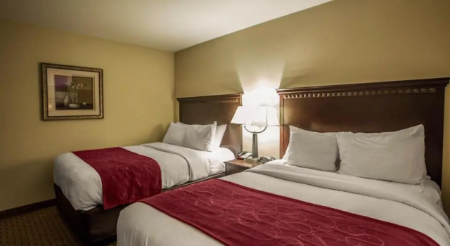 Номер Standard Comfort Suites Bloomington I-55 and I-74