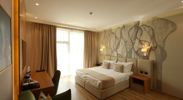 Номер Standard White Hill Hotel, SPA & Conferences