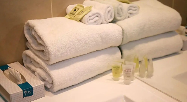 Номер Executive Footscray Motor Inn and Serviced Apartments