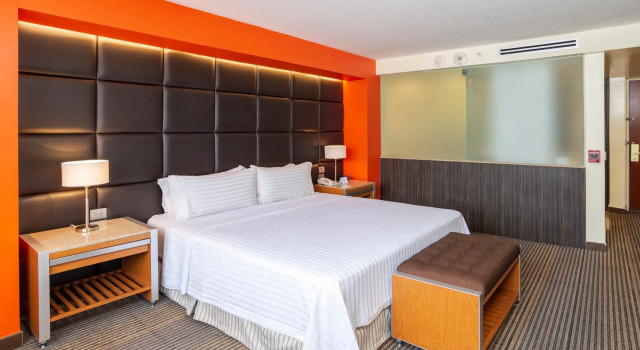 Двухместный номер Standard Holiday Inn Mexico City-Plaza Universidad by IHG