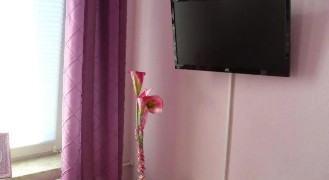 Двухместный номер Standard Hotel Grüner Kranz