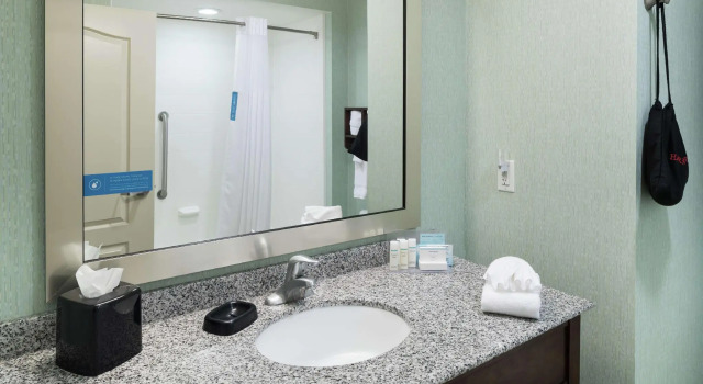 Четырёхместный номер Standard Hampton Inn & Suites Huntsville Research Park Area