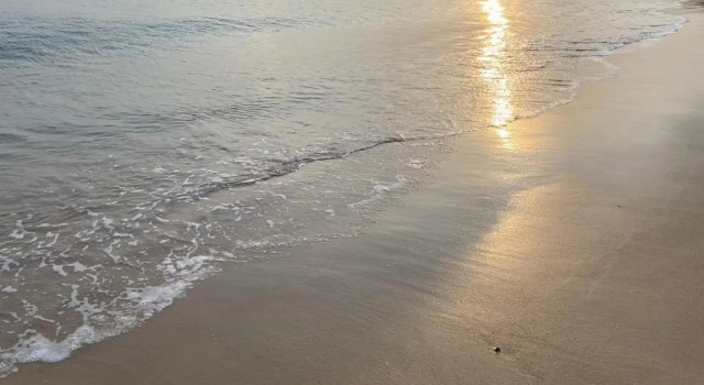 Chambre d'hôtes près de la plage