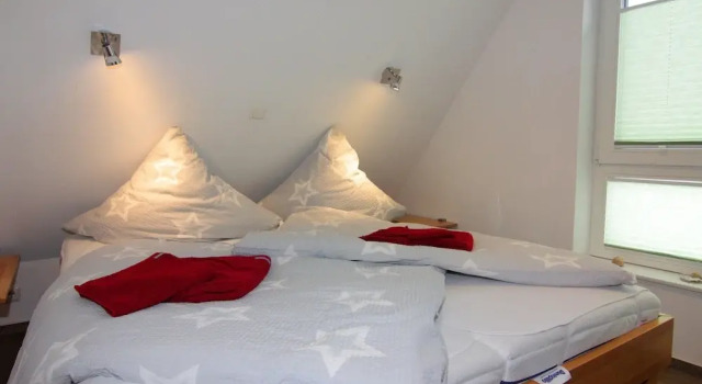 Doppelhaushalfte Luv in Zingst