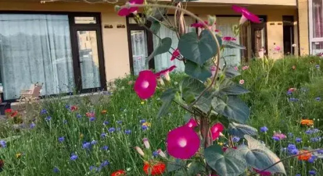 Nalati South Lane Homestay, Prenota Hotel Hotel a Xinjiang con parcheggio, Parcheggio