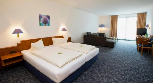 Полулюкс Alpina Lodge Hotel Oberwiesenthal
