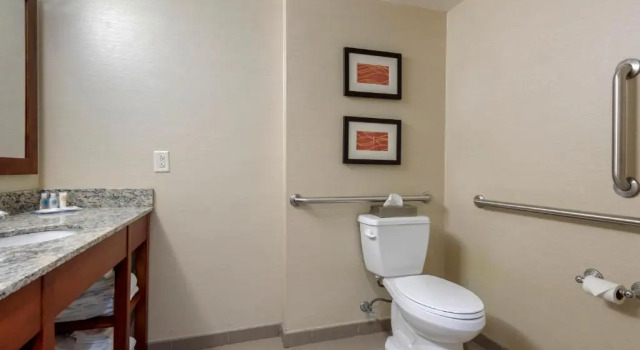 Четырёхместный люкс Comfort Inn The Pointe