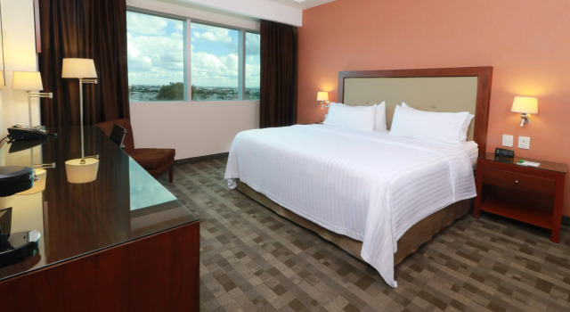 Holiday Inn Leon Plaza Mayor by IHG, Забронировать Отель Отели Леона 3 звезды, 3*