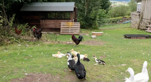 The Granary, Забронировать Дом для отпуска Отели Шотландских границ с парковкой, Парковка