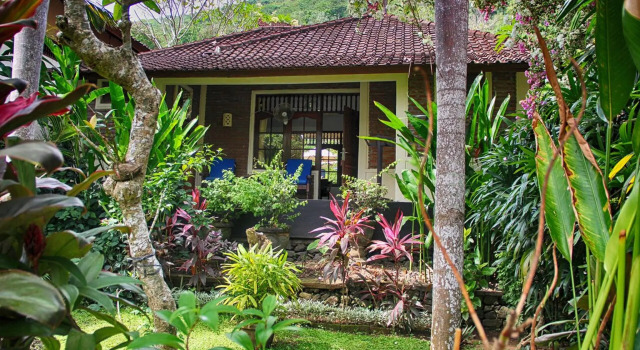 Бунгало Dasa Wana - DW Jungle Resort - Candidasa