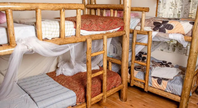 Cama en dormitorio compartido Elite Backpackers Services