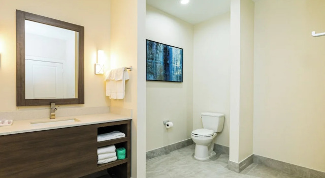 Номер Deluxe Palace Inn Blue Edgebrook