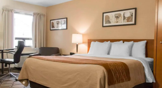 Camera Standard Comfort Inn