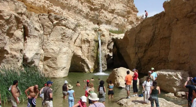 Вилла Villa Atlas Oasis