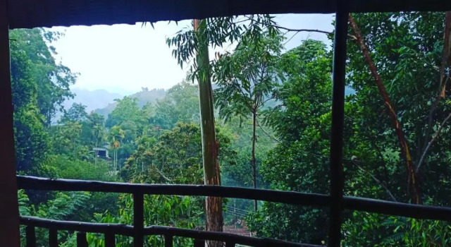 Economy huone NiceView Guesthouse