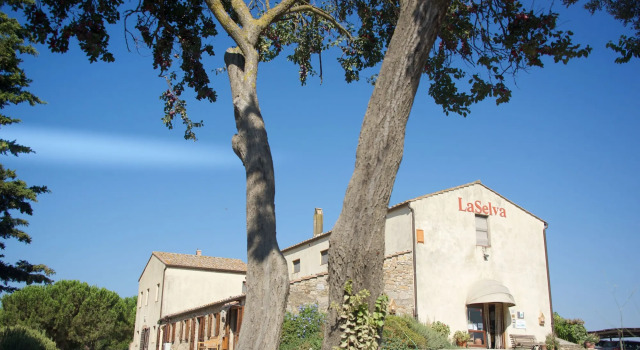 La Selva, Book Hotel Hoteller i Argentario med parkering, Parkering