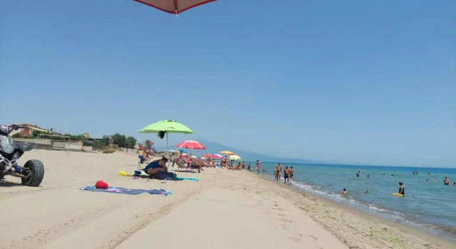 Апартаменты New Summer Apartment