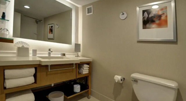 Четырёхместный семейный люкс c 1 комнатой Renaissance Chicago Glenview Suites Hotel