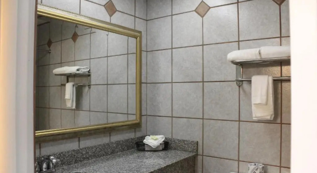 Номер Standard Alpine Inn & Suites Rockford