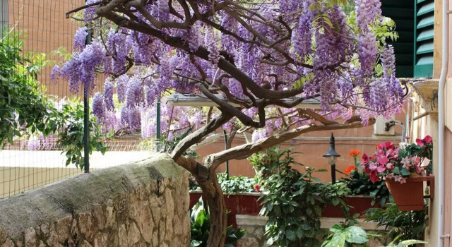 Hotel Pavia, Boek Hotel Hotels in Lazio met parkeren, Parkeren