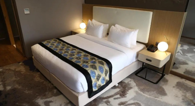 Номер Executive Clarks Inn suites Raipur