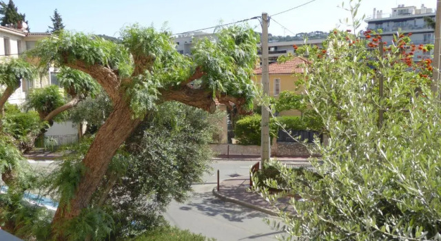 Апартаменты Holidays in cannes - appartement 2P - wifi - clim - parking