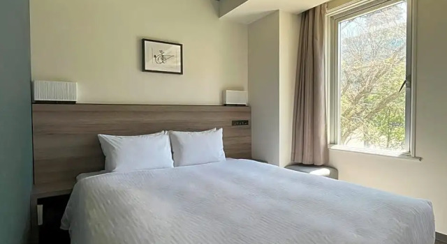 Двухместный номер Standard с видом на парк Odysis Sapporo Odori Koen Hotel