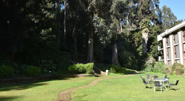 Люкс Deluxe Hotel Bosque de Reñaca
