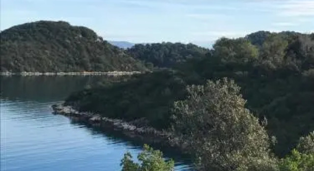 Apartmani Dabelic Durica Mljet