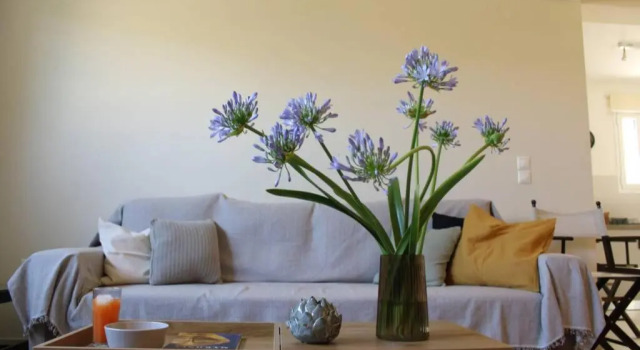 Апартаменты Aretis St Apartment