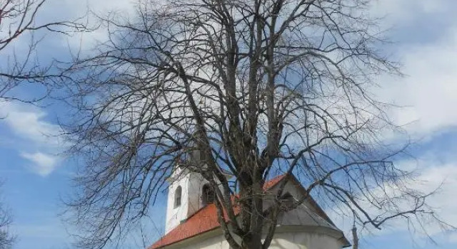 Apartma Silvia