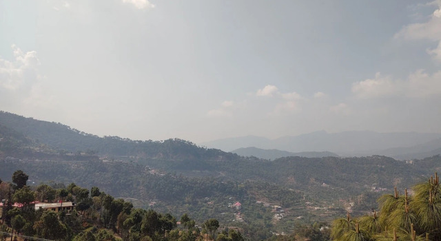 Номер Deluxe Hotel Le Halcyon Kasauli
