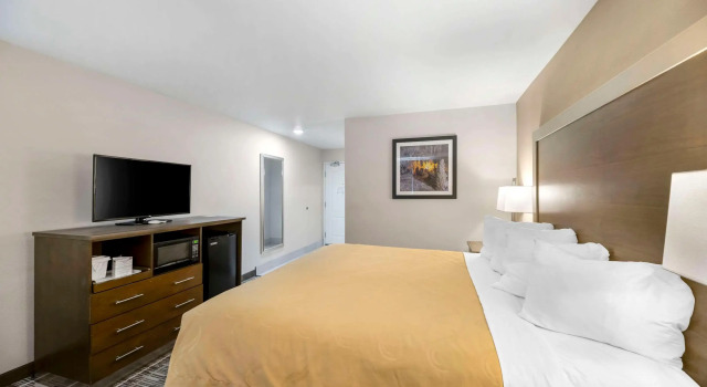 Quality Inn & Suites Carlsbad Caverns Area