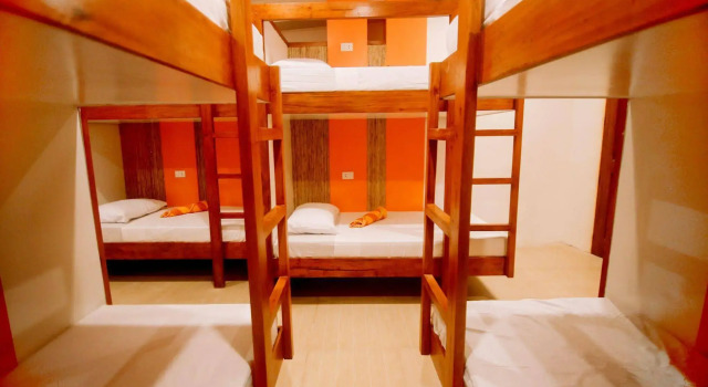 Hostel Avenue