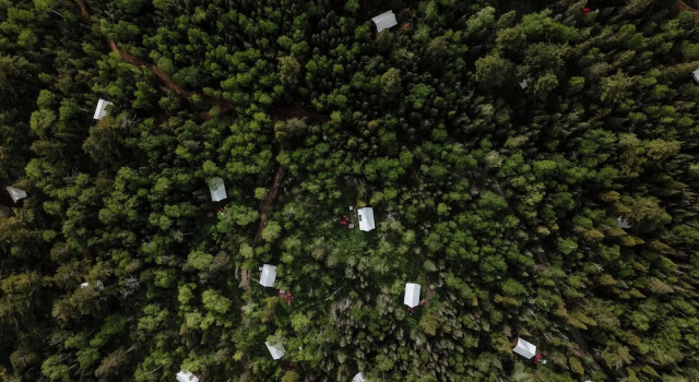 Тент North Shore Camping Company