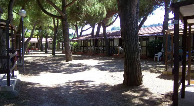 Бунгало c 1 комнатой Villaggio Costa dArgento