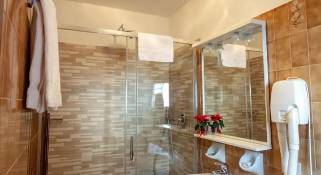 Одноместный номер Standard Hotel Stella Alpina
