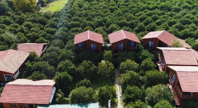 Вилла Superior Bahçe Villa