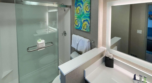 Двухместный люкс MainStay Suites Oakbrook Terrace - Chicago