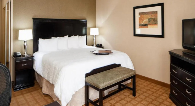 Студия Hampton Inn & Suites Chicago/Saint Charles