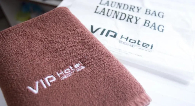 Люкс VIP Hotel Segamat