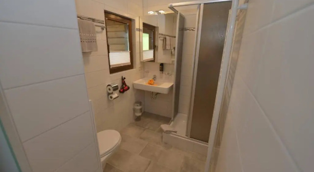 Двухместный номер Standard Haus Binter