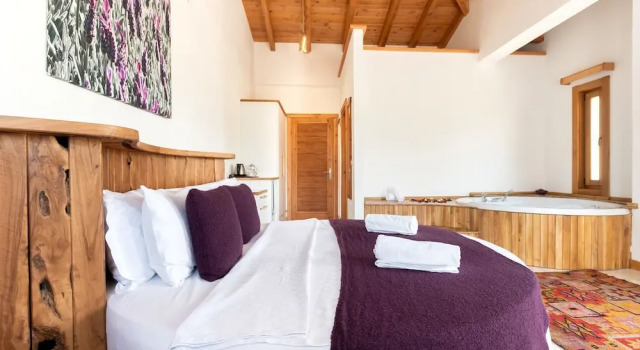 Номер Deluxe Отель The Yenice Vadi