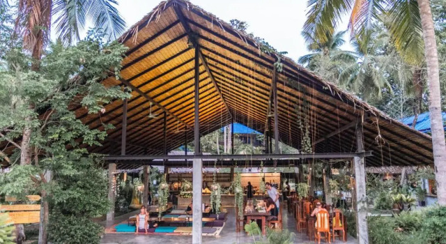 Люкс Wonderland Healing Center